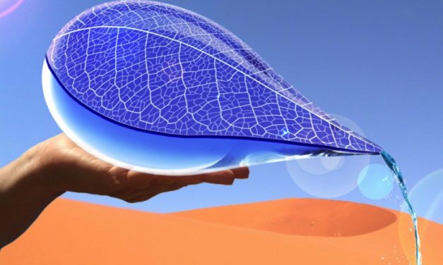 Solar-Powered Handheld Vessels Could Turn Hot Air Into Cool Drinking Water