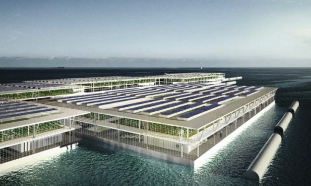 Solar-Powered Floating Farm Could Produce 20 Tons Of Vegetables Daily