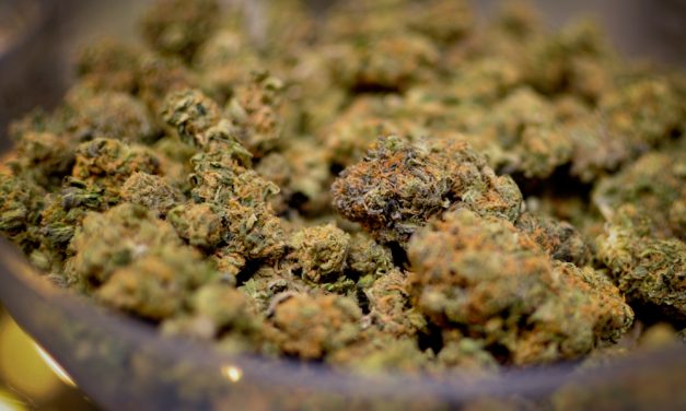 Study Confirms Pot Is NOT A Gateway Drug, Can Treat Tobacco And Opioid Addiction