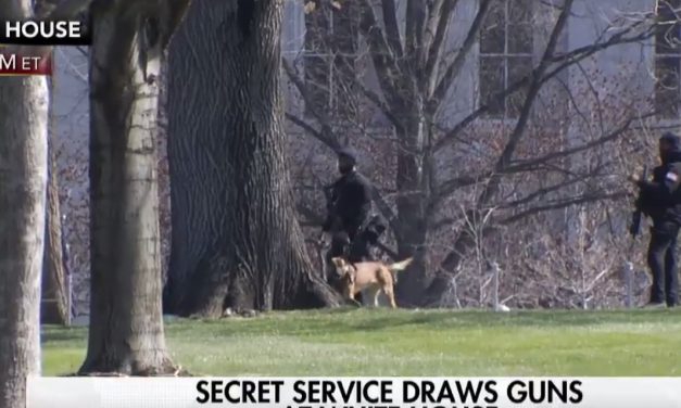 Secret Service Has Drawn Their Weapons At The White House