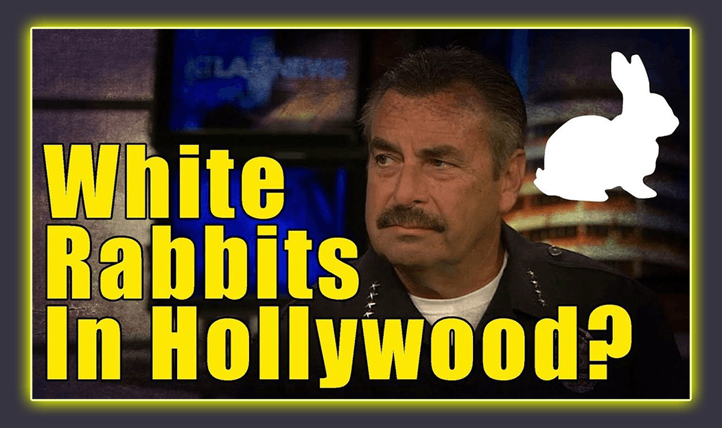 The Story Hollywood Does Not Want You To Hear!