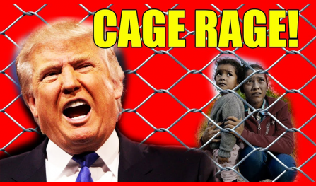 Is Trump King Of The Cage?