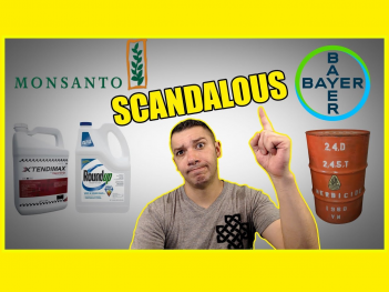 The Monsanto Scandals Continue