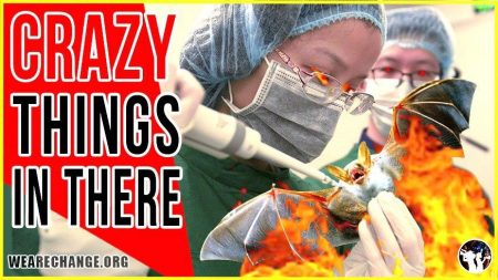 Scientists “Did Absolutely Crazy Things” To Enable Coronavirus To Infect Humans
