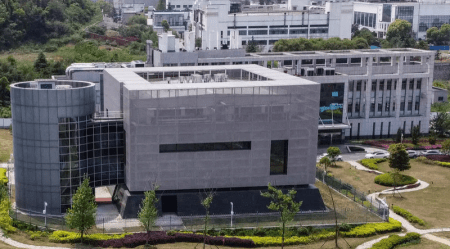 Wuhan Lab Hack Reveals Unreported COVID-19 Cases, Evidence Records Were Deleted