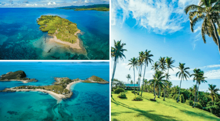 Wealthy Elites Buy Private Islands to Isolate From “Coronavirus Storm”