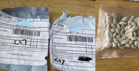 People Are Receiving Mysterious Unsolicited Packages of Seeds in the Mail From China
