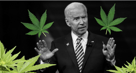 Joe Biden Leaves Cannabis Reform Out of Updated Policy Pledges