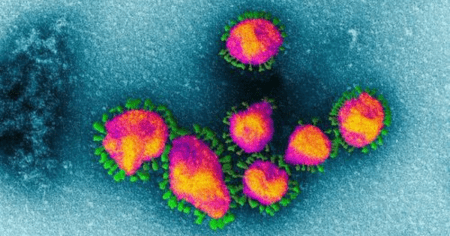 Washington Post Now Says Coronavirus Lab Accident “Plausible” and “Must Be Investigated”