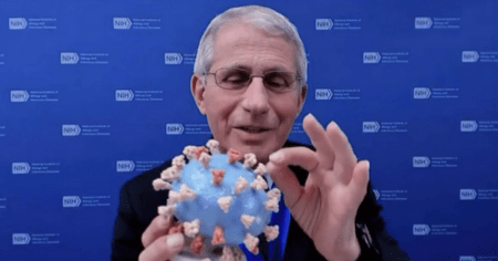 New Book Confirms Fauci’s NIH Funded Wuhan Bat Experiments at Understaffed Chinese Lab