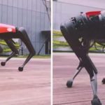 China is Building an Army of Terrifying Robot Dogs