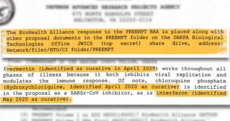 Ivermectin “Works Throughout All Phases” of COVID-19, According to Leaked Military Documents