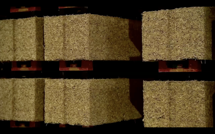 FREE VIDEO: Someone Needs To Tell You THIS!