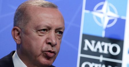 Erdogan Says Turkey Not Favorable to ‘Terror Safe-Havens’ Sweden, Finland Joining NATO