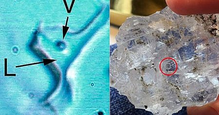 Geologists to Crack Open 830-Million-Year-Old Crystal With Ancient Life Inside