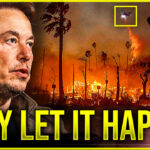 Elon Musk EXPOSES IT: California ALLOWED The Fires To Happen!