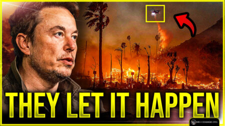 Elon Musk EXPOSES IT: California ALLOWED The Fires To Happen!