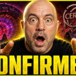 Joe Rogan Said This Six Years Ago — Now It’s Actually Happening..